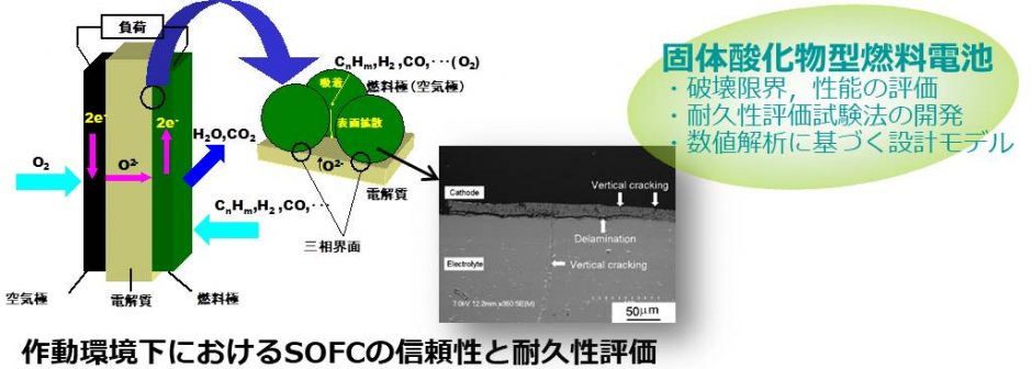 橋田・小川/佐藤研究室